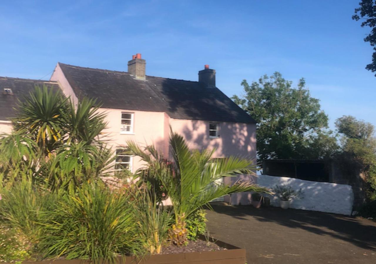 The Pink Cottage Upstairs Suite & Garden Summer Room Whitehead Bagian luar foto