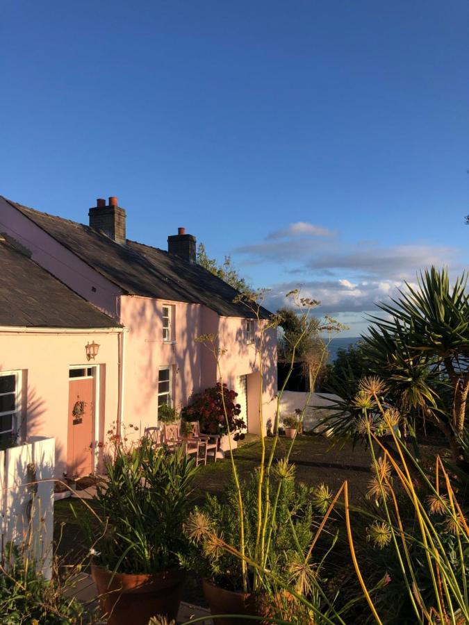 The Pink Cottage Upstairs Suite & Garden Summer Room Whitehead Bagian luar foto