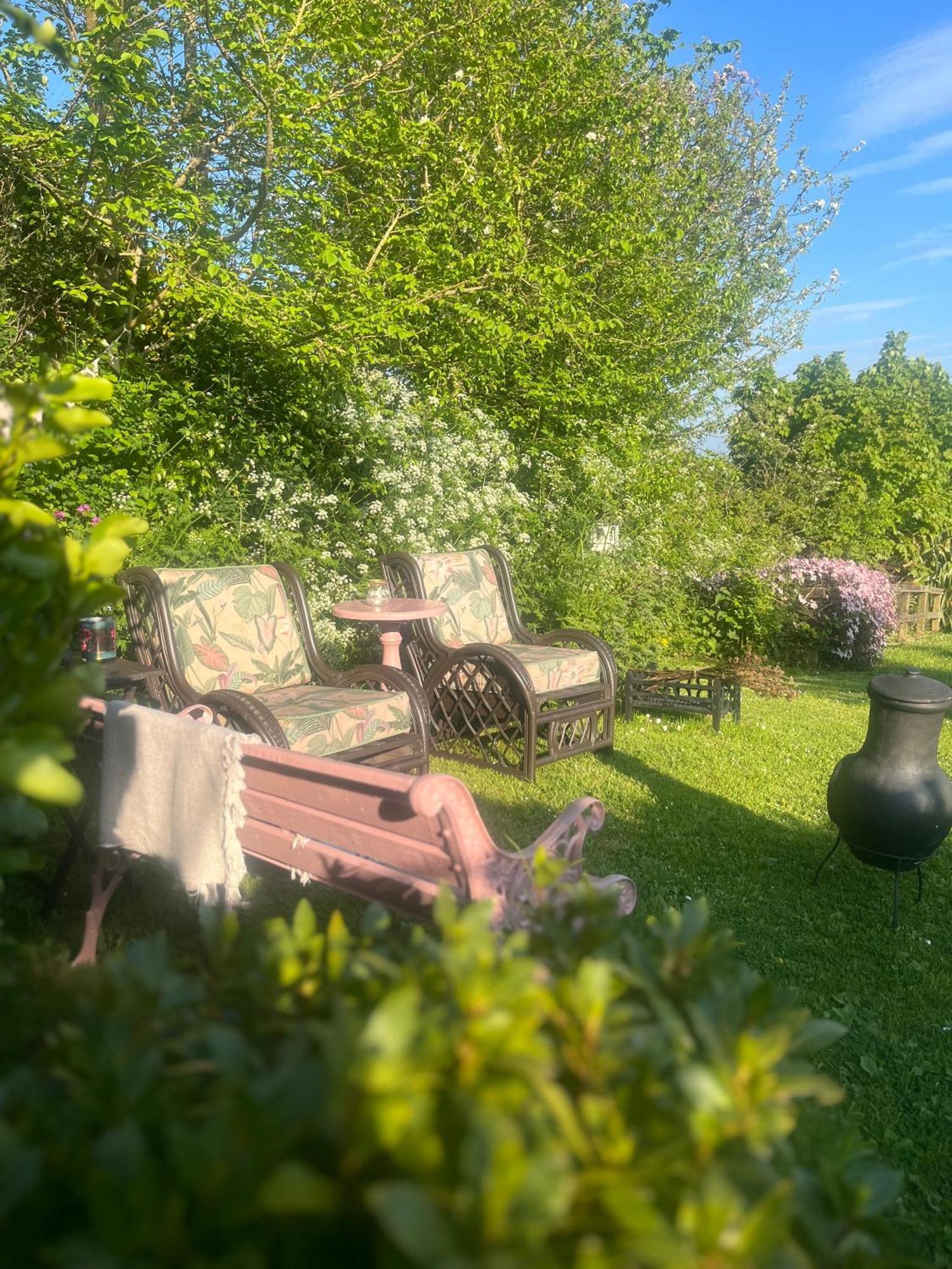 The Pink Cottage Upstairs Suite & Garden Summer Room Whitehead Bagian luar foto